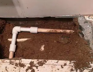 鹿邑测漏水哪家好