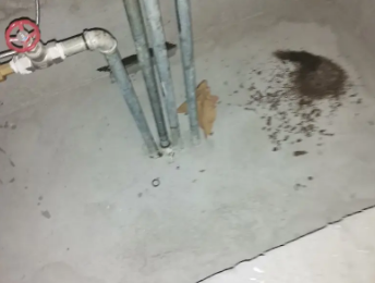 鹿邑卫生间测漏水价格明细