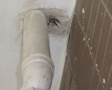 鹿邑漏水检测哪家好